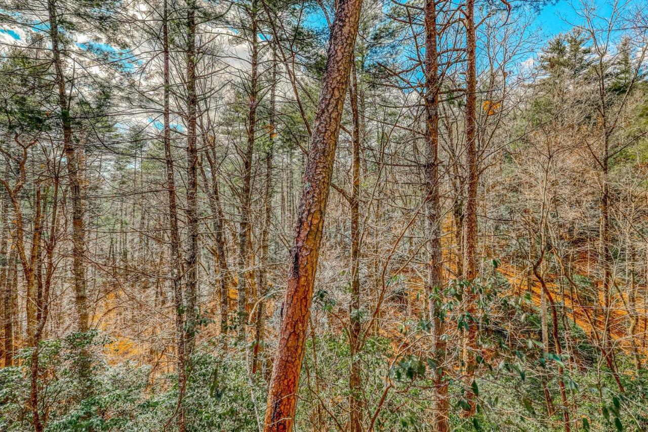 Vila Etowah Blue Ridge Exteriér fotografie